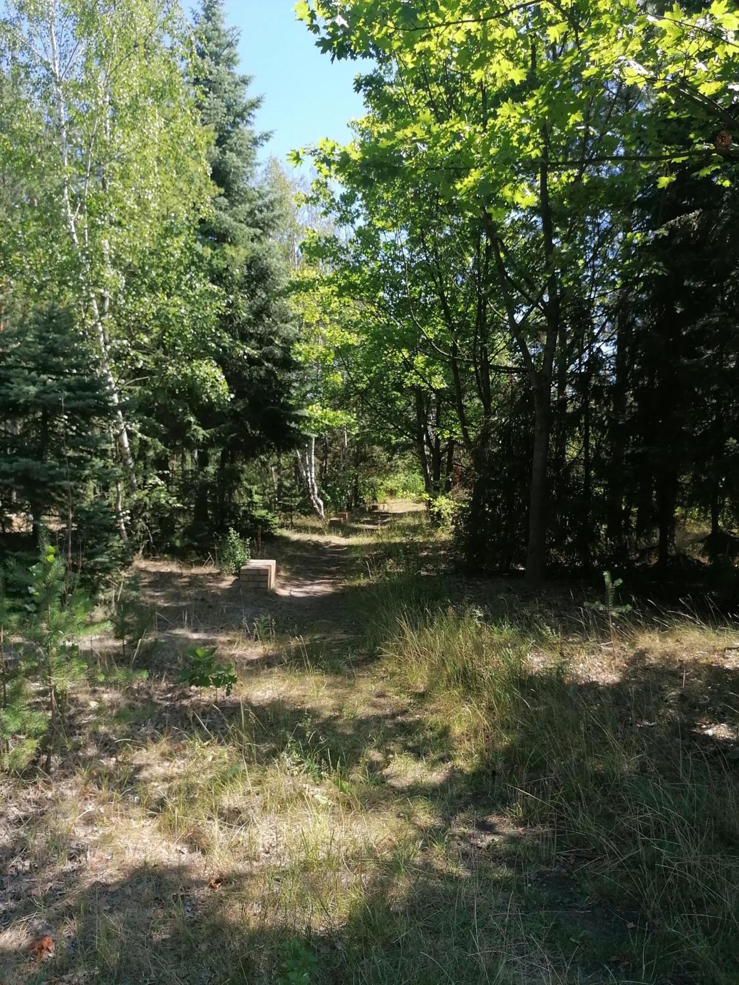 Ferienwohnung Gnubbel Am Wald فايسفاسر المظهر الخارجي الصورة