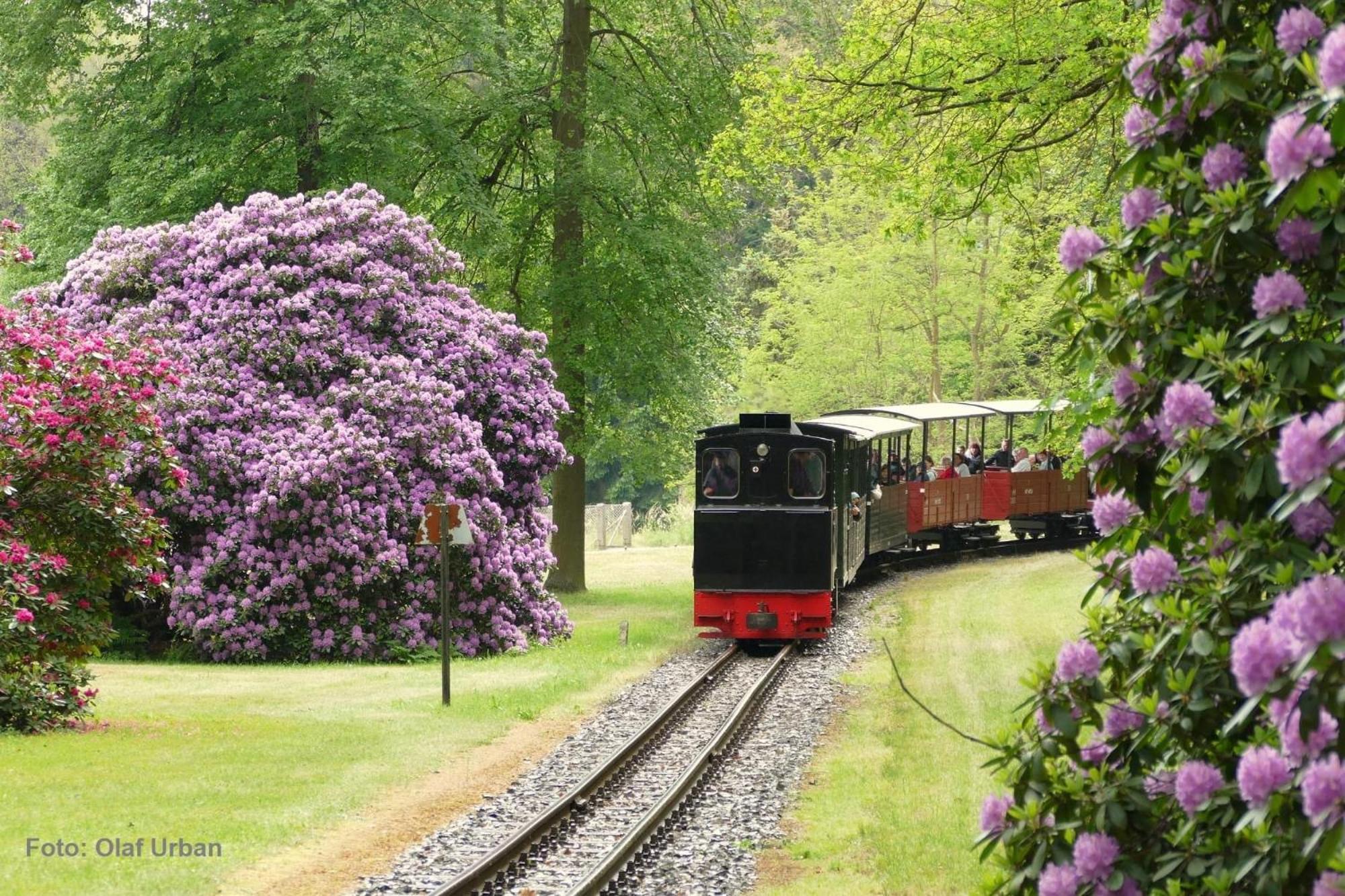 Ferienwohnung Gnubbel Am Wald فايسفاسر المظهر الخارجي الصورة